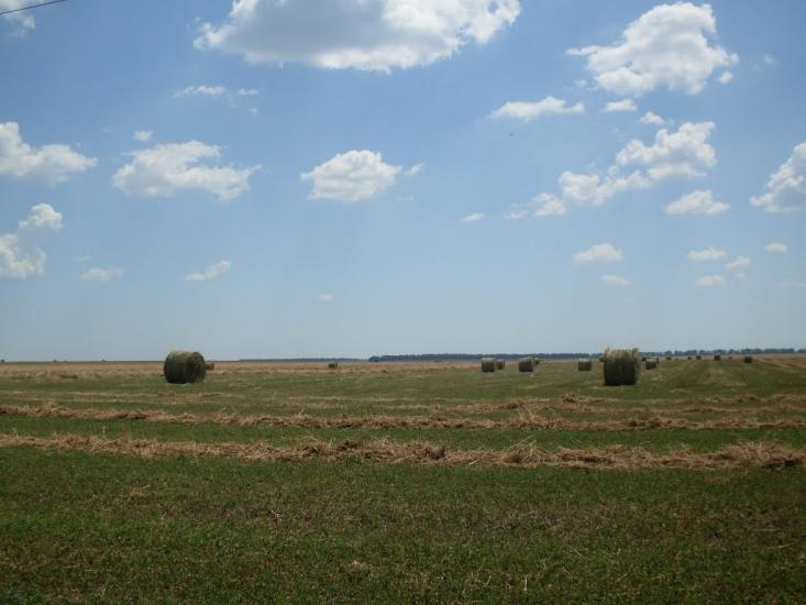 Гранів з panoramio.com - Гранов