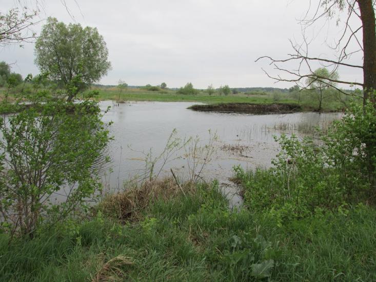 Дмитрівка з panoramio.com - Дмитровка