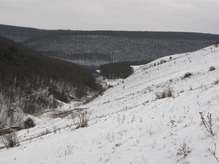 Рудківці з panoramio.com - Рудківці