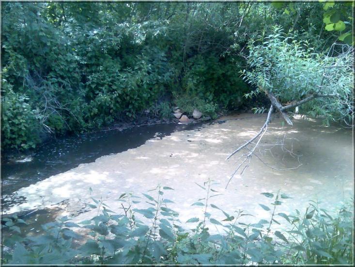 Кушкине з panoramio.com - Kushkyne