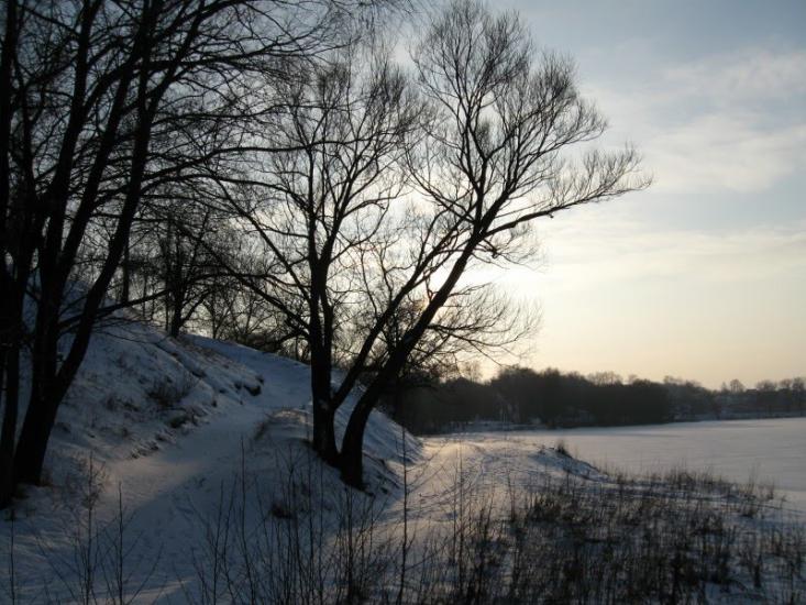 Сад з panoramio.com - Сад