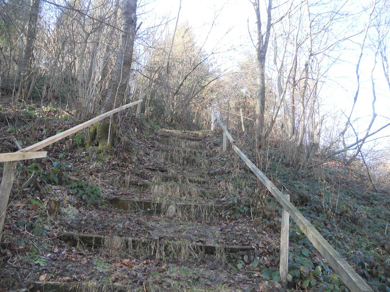 природа - Опака