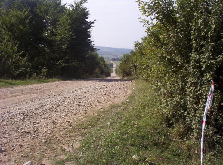 Добринівці з panoramio.com - Dobrynivtsi