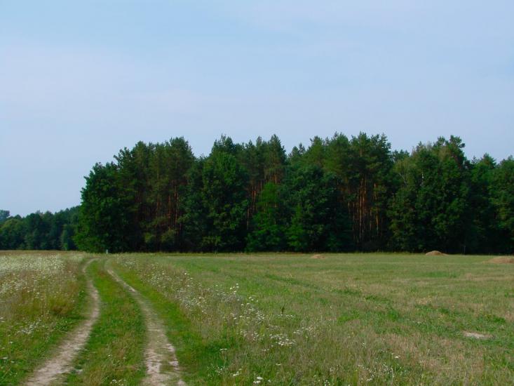 Брусилів з panoramio.com - Брусилов