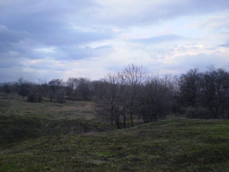 Кринична з panoramio.com - Кринична