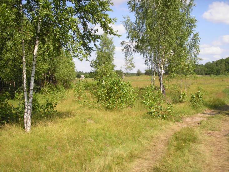 Рихальське з panoramio.com - Рыхальское