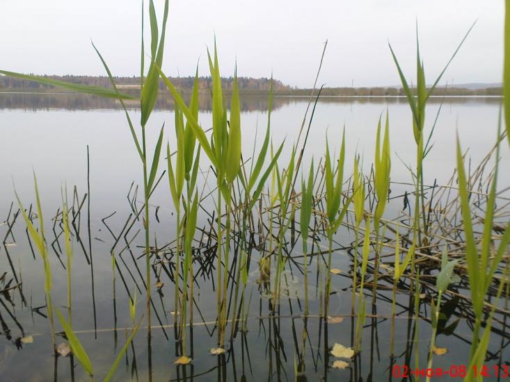 Ліпляве з panoramio.com - Лепляво