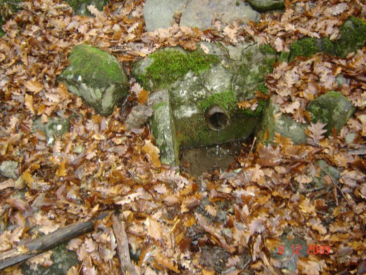 Виноградний з panoramio.com - Виноградний