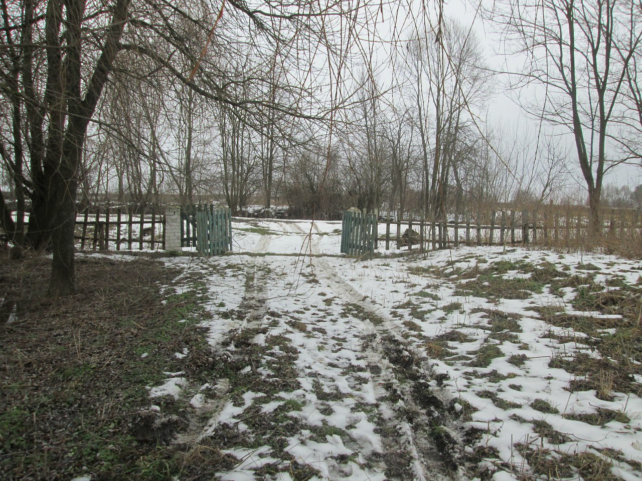 Мостове у лютому 2014 - Мостове