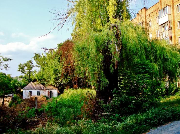 Звенигородка з panoramio.com - Zvenigorodka