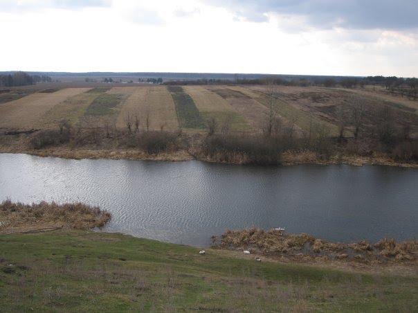 Гриців з panoramio.com - Гриців