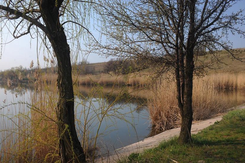 Суха Балка з panoramio.com - Суха Балка