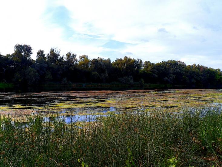 Жовте з panoramio.com - Желтое