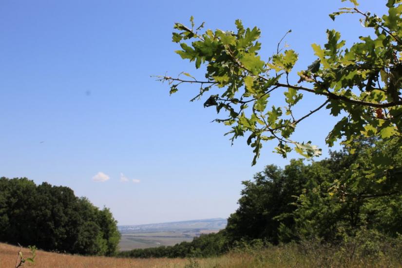 Холмівка з panoramio.com - Холмовка