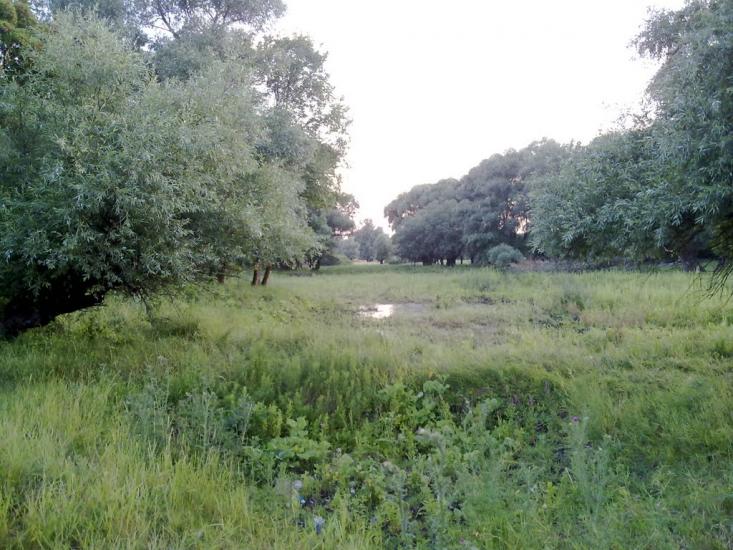 Станично-Луганське з panoramio.com (ч.2) - Станично-Луганское