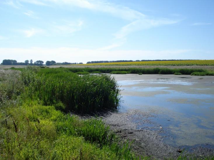 Макіївка з panoramio.com - Makiivka