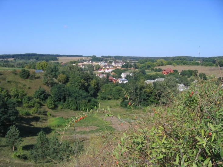 Старі Безрадичі з panoramio.com - Stari Bezradychi