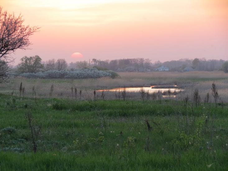 Мусієнкове з panoramio.com - Мусієнкове