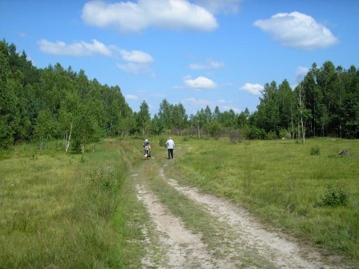 Рихальське з panoramio.com - Рыхальское