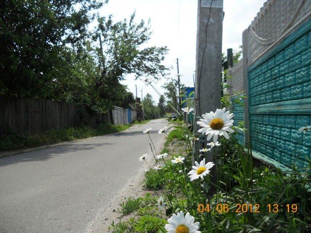 Пухівка з panoramio.com - Пухівка