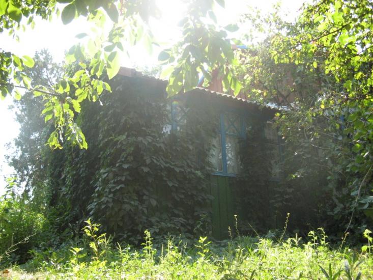 Багерове з panoramio.com - Багерове