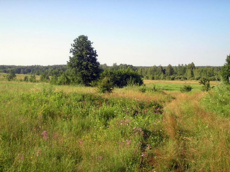 Рихальське з panoramio.com - Рыхальское