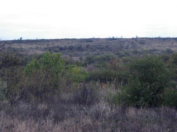 Старозаводське з panoramio.com - Старозаводское