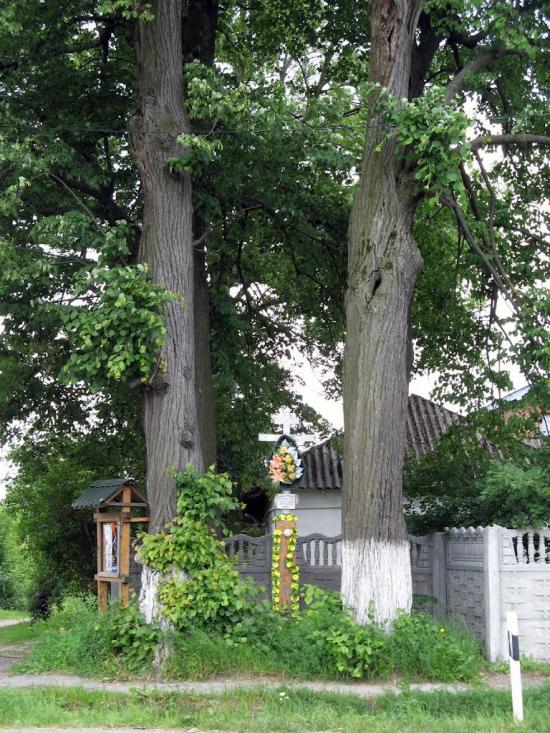 Тязів з panoramio.com - Тязев