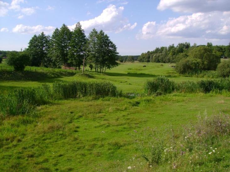 Бейзимівка з panoramio.com - Бейзимівка