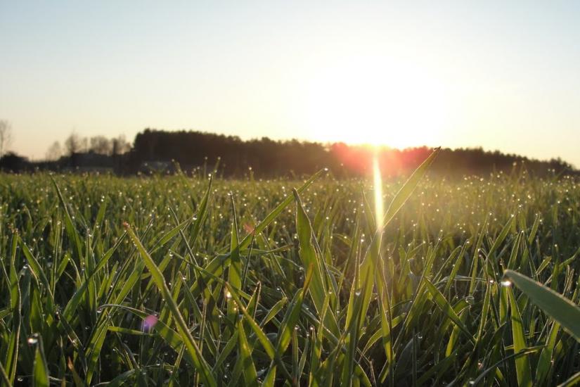 Градиськ з panoramio.com - Градиськ