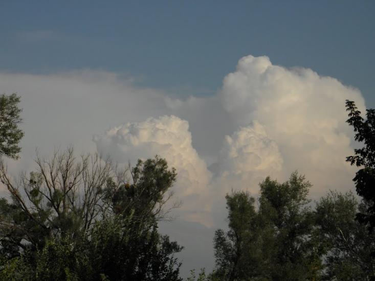 Вельбівка з panoramio.com - Вельбовка