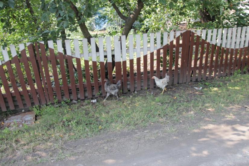 Вапнярка з panoramio.com - Вапнярка