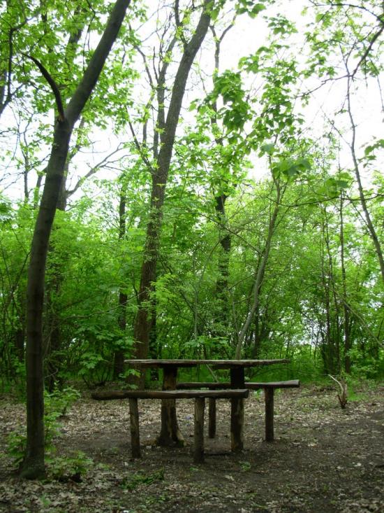 Первомайськ з panoramio.com - Первомайськ