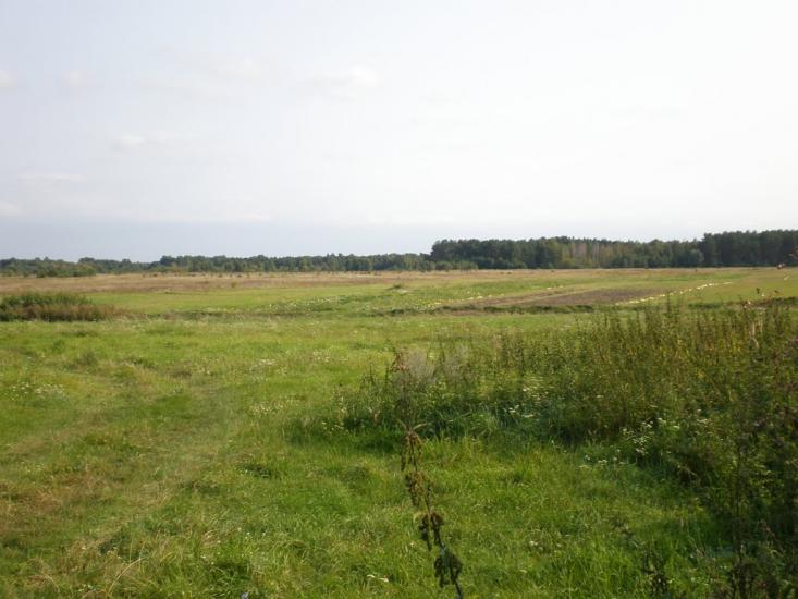 Облапи з panoramio.com - Облапы