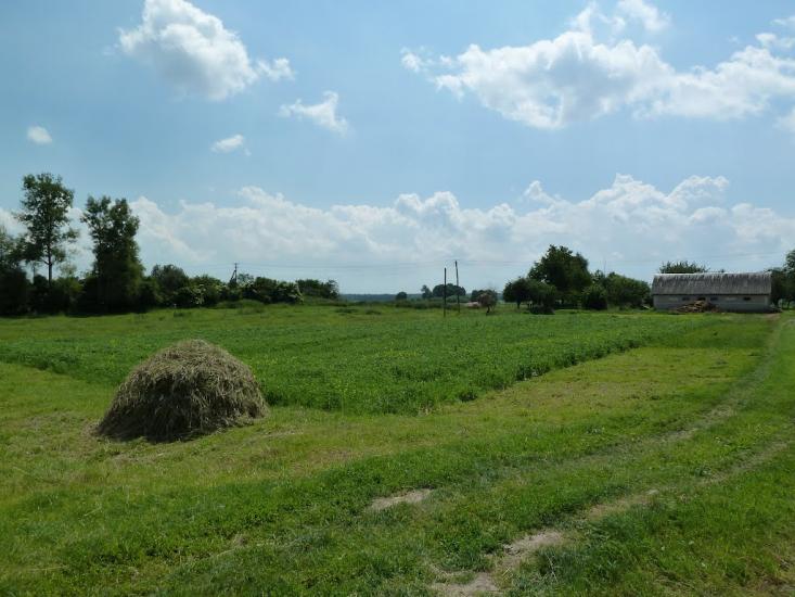 Кураж з panoramio.com - Кураж