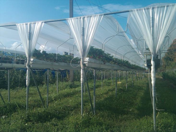 Руська Лозова з panoramio.com - Ruska Lozova