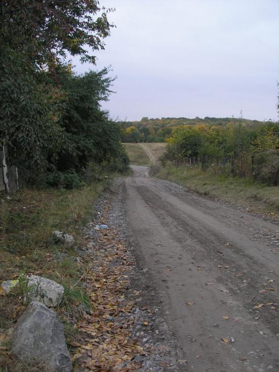 Зарванці з panoramio.com - Зарванцы