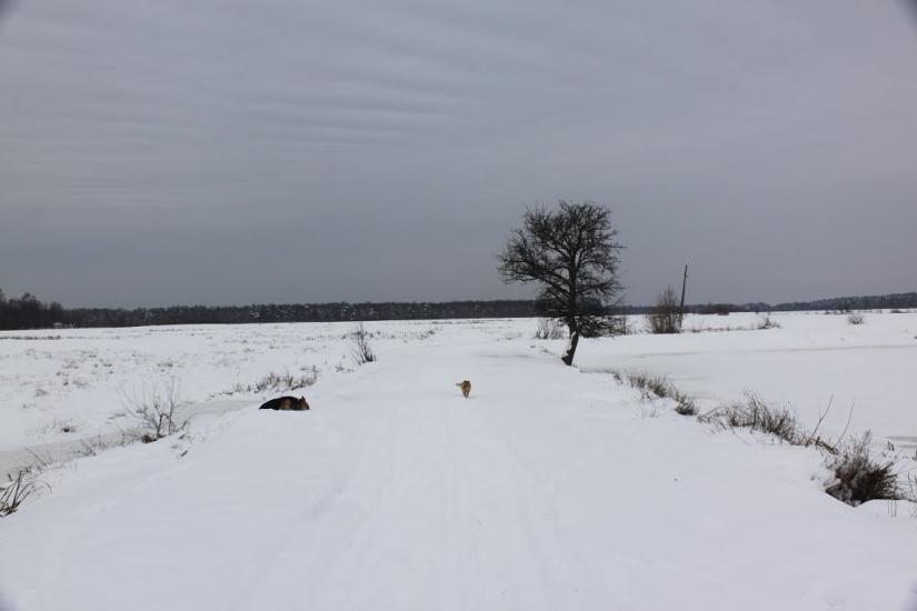 Суховоля з panoramio.com - Суховоля