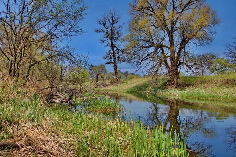 Кремінна з panoramio.com - Кремінна