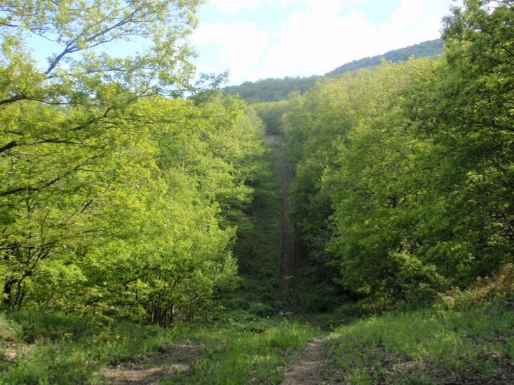 Виноградний з panoramio.com - Виноградний