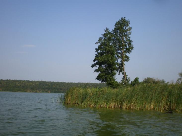 Ліпляве з panoramio.com - Лепляво