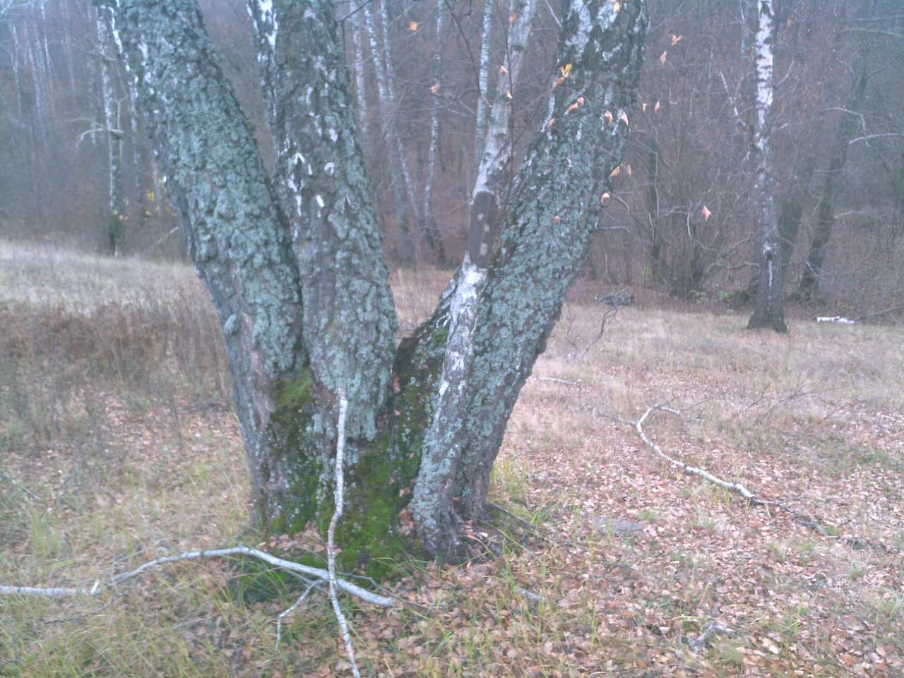 Городище - Городец