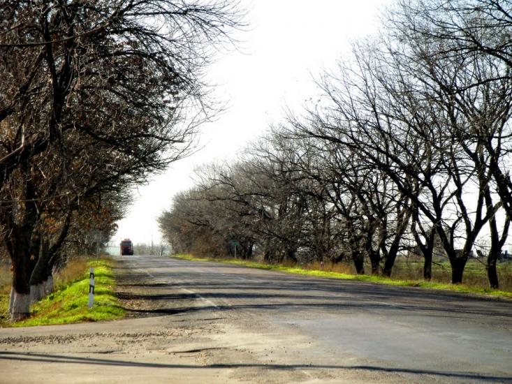 Мар'янське з panoramio.com - Мар'янське