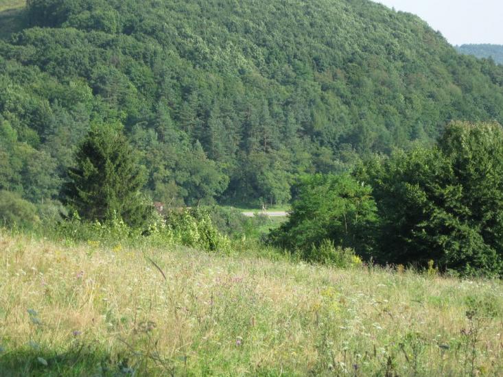 Руда з panoramio.com - Руда