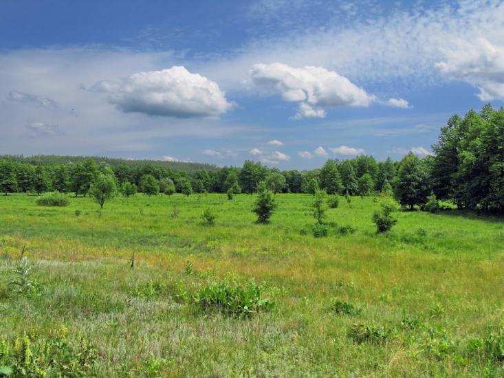 Бірки з panoramio.com - Бирки