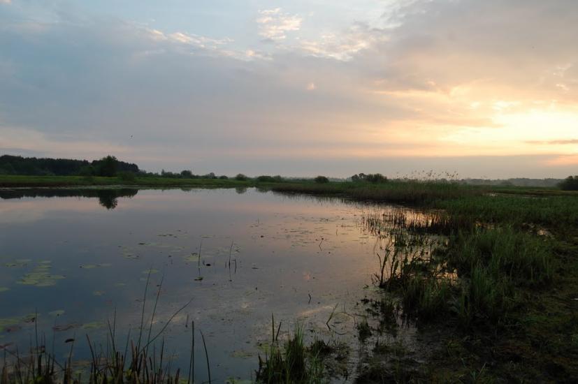 Куликовичі з panoramio.com - Kulykovychi