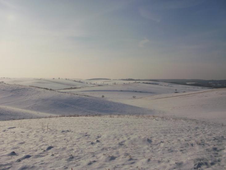 Теліжинці з panoramio.com - Telizhyntsi