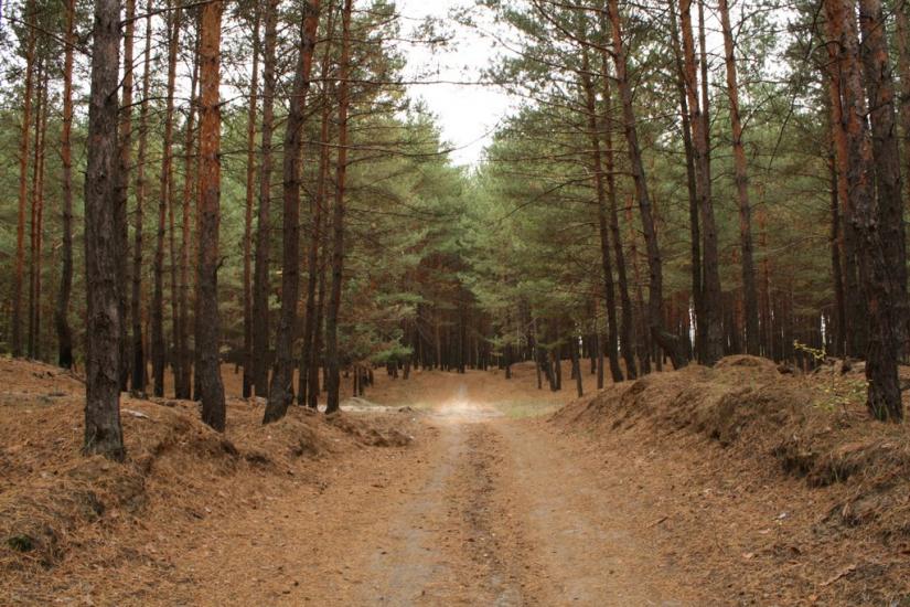 Чугуїв з panoramio.com - Чугуев