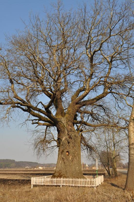 Бугрин з panoramio.com - Бугрин