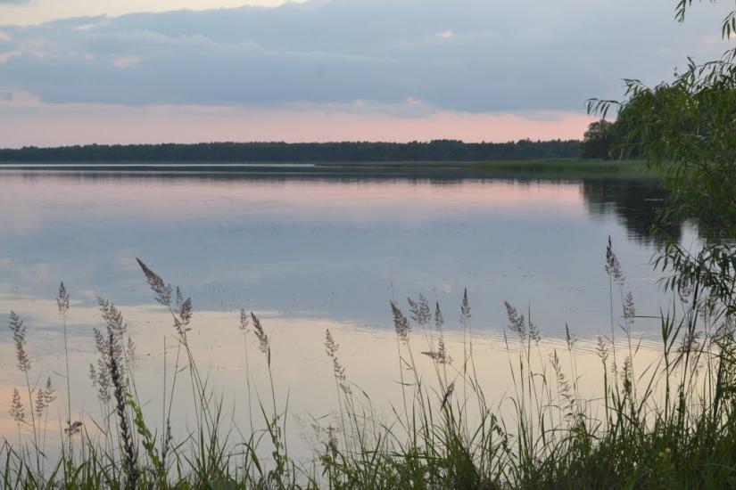 Невір з panoramio.com - Невир